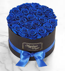 Bouquets, baskets, gifts, gourmet food Magnificent Roses Preserved Blue Velvet Roses 1800flowers Com