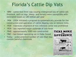 Image result for dip vat