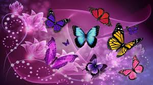 We did not find results for: Fantasy Butterflies Hearts Butterfly Wallpaper Iphone Butterfly Wallpaper Butterfly Art