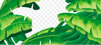 The clip art image is transparent background and png format which can be easily used for any free creative project. Musa Basjoo Daun Pisang Gambar Png