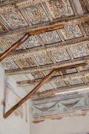 Image result for Vossia