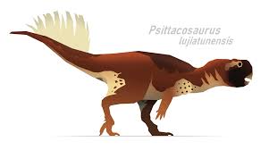 Check out amazing pachyrhinosaurus artwork on deviantart. A Dinosaur A Day I Draws Dinosaurs Pachyrhinosaurus