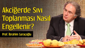 Saracoglu Panosundaki Pin