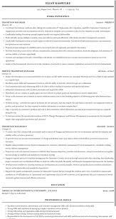 Roles And Responsibilities Of Transition Manager In Bpo