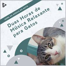 Puede utilizarse también para tus tiempos de meditación, lectura o simplemente descansar rodeado de. Piano Calmo Para Dormir Song By Hora Da Musica Do Gato Musica Relaxante Para Gatos Musica De Gatinhos Calmante Spotify