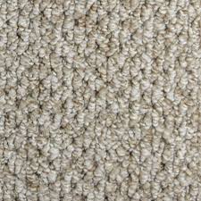 Trafficmaster Follow Up Color Lansing Loop 12 Ft Carpet H5033 3304 1200 Ab The Home Depot Carpet Samples Polypropylene Carpet Carpet