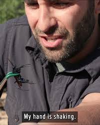 Patrick Neathery's Instagram, Twitter & Facebook