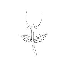 How To Draw A Simple Rose Easy Drawing Guides How to draw step by step pictures for kids. to draw a simple rose easy drawing guides
