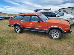 Image result for Florentine Gold 1985 AMC