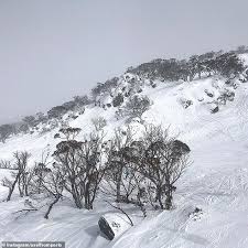 A regional bubble would mean no more snow for canberrans. New South Wales And Canberra Brace For Coldest Day With Snow Described As Antarctic Blob Daily Mail Online