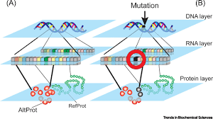 Mutations are changes in the dna sequence of the gene. Shedding Light On The Ghost Proteome Trends In Biochemical Sciences