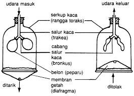 Contoh jawapan bahasa melayu penulisan upsr: Contoh Soalan Pt3 Sains Bab 1 Selangor V
