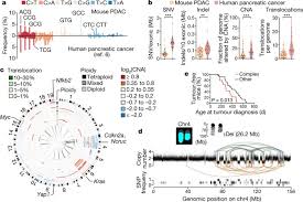 Landscaping website templates using wordpress. Evolutionary Routes And Kras Dosage Define Pancreatic Cancer Phenotypes Nature