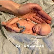 Com 22 semanas de gestação o bebê já possui unhas e brinca com as mãozinhas passando pelo rosto e orelhas.; Para Tener Una Idea A Las 22 Semanas Club De Bebes Diciembre 2020 Babycenter