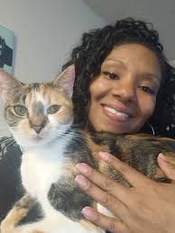 Hello everyone. These are my 3 Amigos TUNDRA SCOTTY MITTEN (White and Gray  mitten kitten) STORMI MICAH THUNDA (Spotted cat) REIGHNA ASH CLOUD (Gray  Kitty)