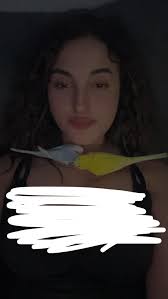 How to support a stressed budgie after partner's death?