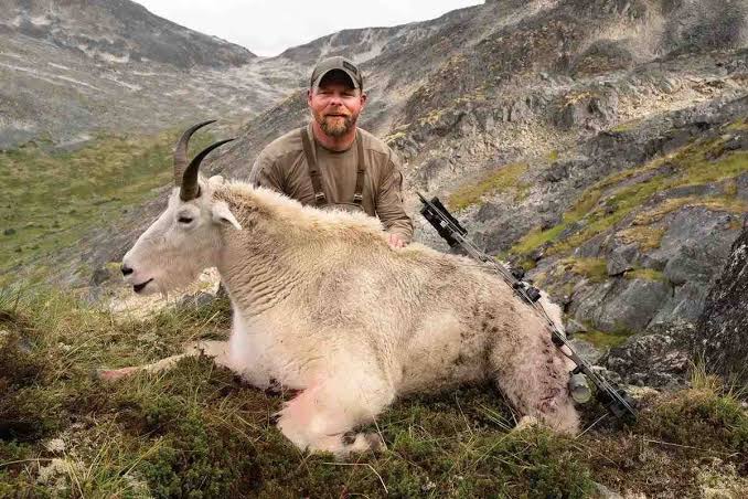 An Unforgettable Mountain Goat Hunt in Northern British Colu - Bowhunter