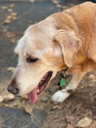 Nraas' story progression also has a feature that allows townies to i have a crudimentary awesomemod prototype available for it, and i also. Awesammom Awesammom1 Twitter