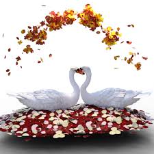 Image result for Remove Loveswans.com. Account