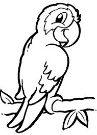 Gambar burung untuk mewarnai via gambarcoloring.website. Mewarnai Gambar Hewan Burung Kakak Tua Aneka Mewarnai Gambar Halaman Mewarnai Gambar Hewan Gambar Burung