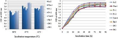 Effect Of Temperatures On Yeast Cell Growth In Ypd Medium Here Y Axis Download Scientific Diagram