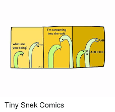 Can i talk to them? What Are You Doing Ahhh I M Screaming Into The Void Ah Ahhhhh Tiny Snek Comics Nihilist Meme On Me Me
