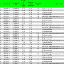 Image result for Ctenitis cirrhosa