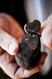 Maybe you would like to learn more about one of these? Ristorante Ana E Bruno Startseite Berlin Speisekarte Preise Restaurant Bewertungen Facebook