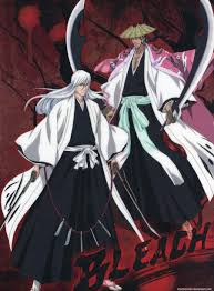 Shunsui KyÅraku Wallpapers Wallpaper Cave Uhara bleach character, samurai, hollow, sword, urahara kisuke. shunsui kyÅraku wallpapers wallpaper cave