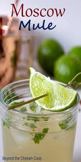 Moscow Mule Recipe Diet Ginger Beer Ginger Ale Drinks Vodka Ginger Ale