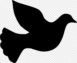 Lihat ide lainnya tentang pola binatang, pola, binatang. Columbidae Silhouette Doves Sebagai Simbol Pola Merpati Binatang Fotografi Monokrom Png Pngwing