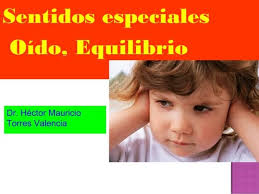 C roja sistema circulatorio fc y pulsos