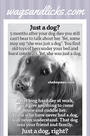 More Than Just A Dog Your Best Friend Confidante Protector Soul Mate Buddy And More And Do Dogs Go To Heaven Some Inform Dog Grief Pet Grief Dog Loss Quotes