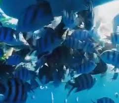 Book royal atlantis spa & resort, turkey on tripadvisor: 10 Things To Do In Manavgat That You Shouldn T Miss