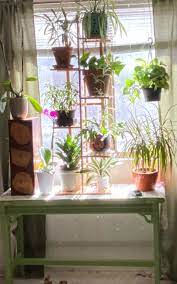 Maybe you would like to learn more about one of these? 19 Plant Products With Review Photos That Ll Make You Want To Grow Something