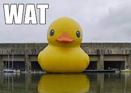 Free Download Giant Rubber Duck Meme The Wat Duck In The 680x482 For Your Desktop Mobile Tablet Explore 50 Giant Rubber Duck Wallpaper Duck Screensavers And Wallpaper Akron Rubber