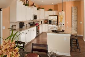 Pin By Kimberly Williams On Kitchen Makeover Ideas New Kitchen Cabinets Kitchen Remodel Kitchen Cabinets