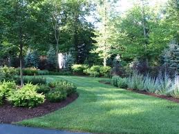 Do you need a fence that doesn't make you broke? Guide To The Top Natural Fence Options Neave Group