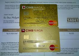 Pada kartu kredit cimb niaga sendiri nantinya penggunanya bisa buat pin dengan mudah baik lewat sms atau menggunakan aplikasi octo mobile. Cara Mudah Apply Kartu Kredit Cimb Niaga Online Kartu Kredit Uang Kartu