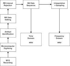 heart rate variability hrv