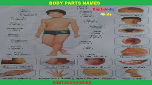 ⬤ body parts picture in english. Pin On Digitaledu4kids