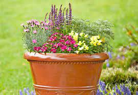 12 Container Garden Combos Container Gardening Container Gardening Flowers Container Flowers