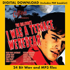 CHILLERAMA PRESENTS I WAS A TEENAGE WEREBEAR
