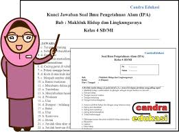 Selanjutnya berikut adalah kumpulan soal uh ipa ktsp kelas 4 semester 1 / ganjil yang siap soal uh ipa kelas 4 semester 1 bab 2 alat indra manusia, fungsi, dan pemeliharaannya. Soal Ipa Kelas 4 Semester 1 Bab Mahluk Hidup Dan Lingkungannya