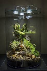 Terrarium Reptile How To Make Terrariums Terrarium Diy Glass Terrarium