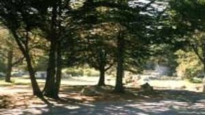 Check spelling or type a new query. Plaskett Creek Campground
