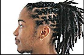 Braided Dreads Hairstyles For Men Men Hairstyle Trend Dreadlocks Braided Hairstyles 500x Dread Hairstyles Dreadlock Hairstyles For Men Dread Hairstyles For Men