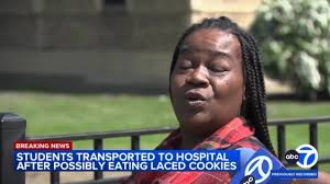 WEED COOKIES IN SCHOOL: Classes at Fort Dearborn Elementary were disrupted  by first responders as 11 students were rushed to the hospital after  ingesting cookies laced with marijuana, according to ...