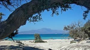 Chrissi island in crete (golden island) or gaidouronisi is located 8 miles south of ierapetra, lasithi, in the libyan sea.chrissi gets its name from the golden sand that has covered the whole island. Chrissi Island Artemis