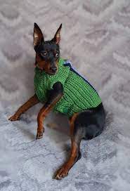 Dog Clothes Jacket For Dog Small Dog Clothes Knitted Dog Sweater Small Dogs Small Dog Clothes Dog Sweater